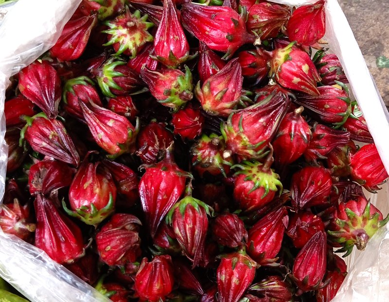 Roselle photo 2