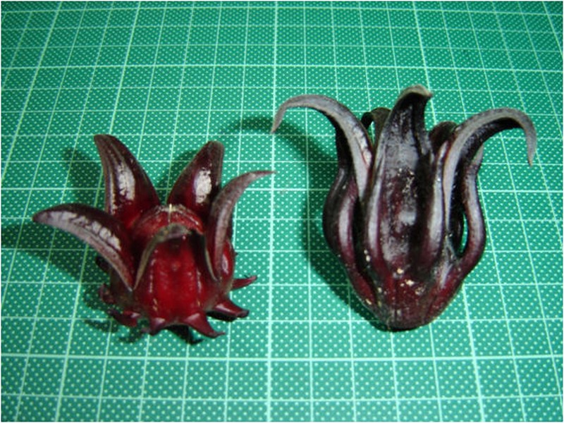 Roselle photo 3