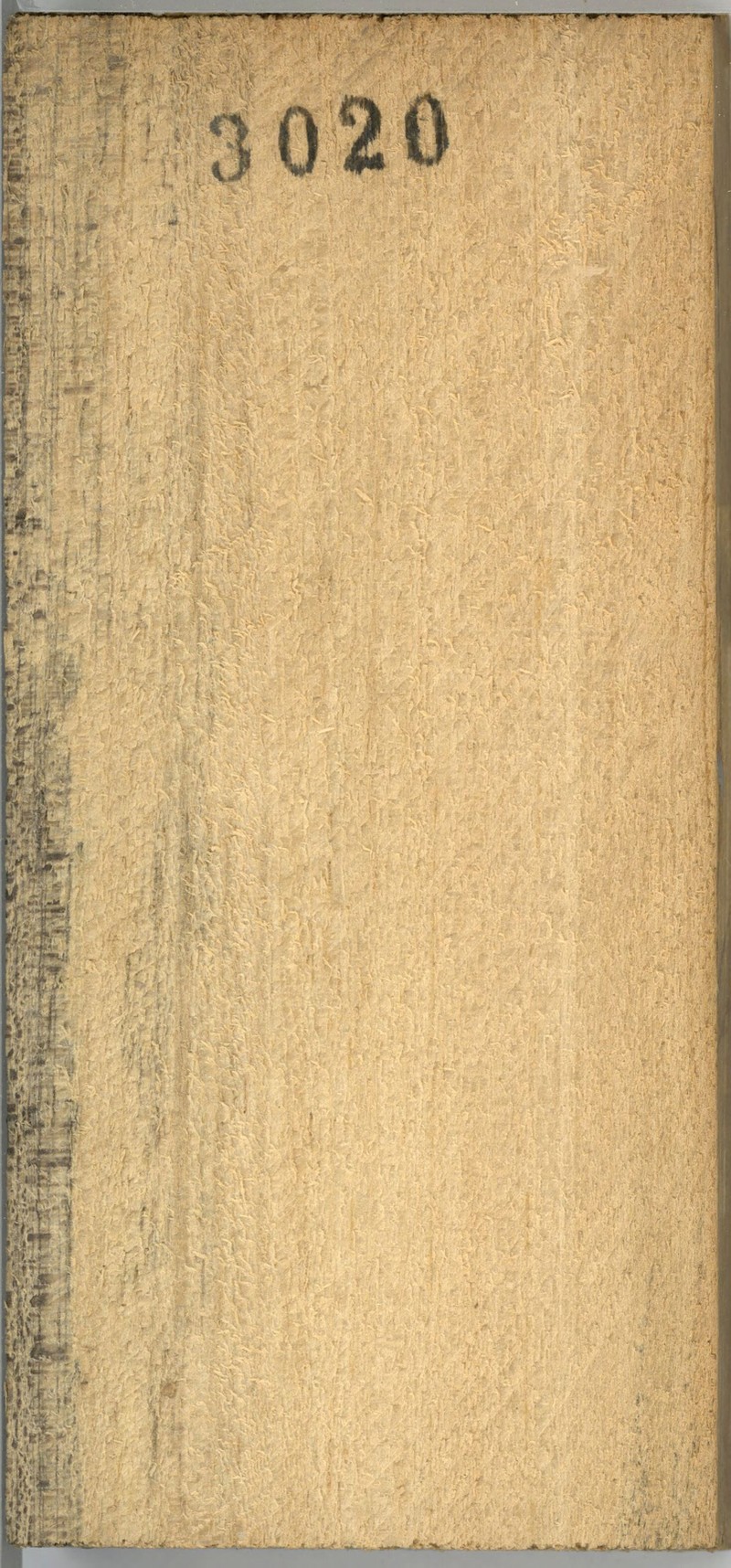 Hoplestigma klaineanum
