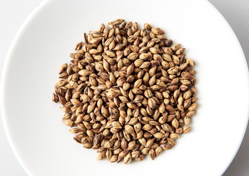 Common Barley photo 8