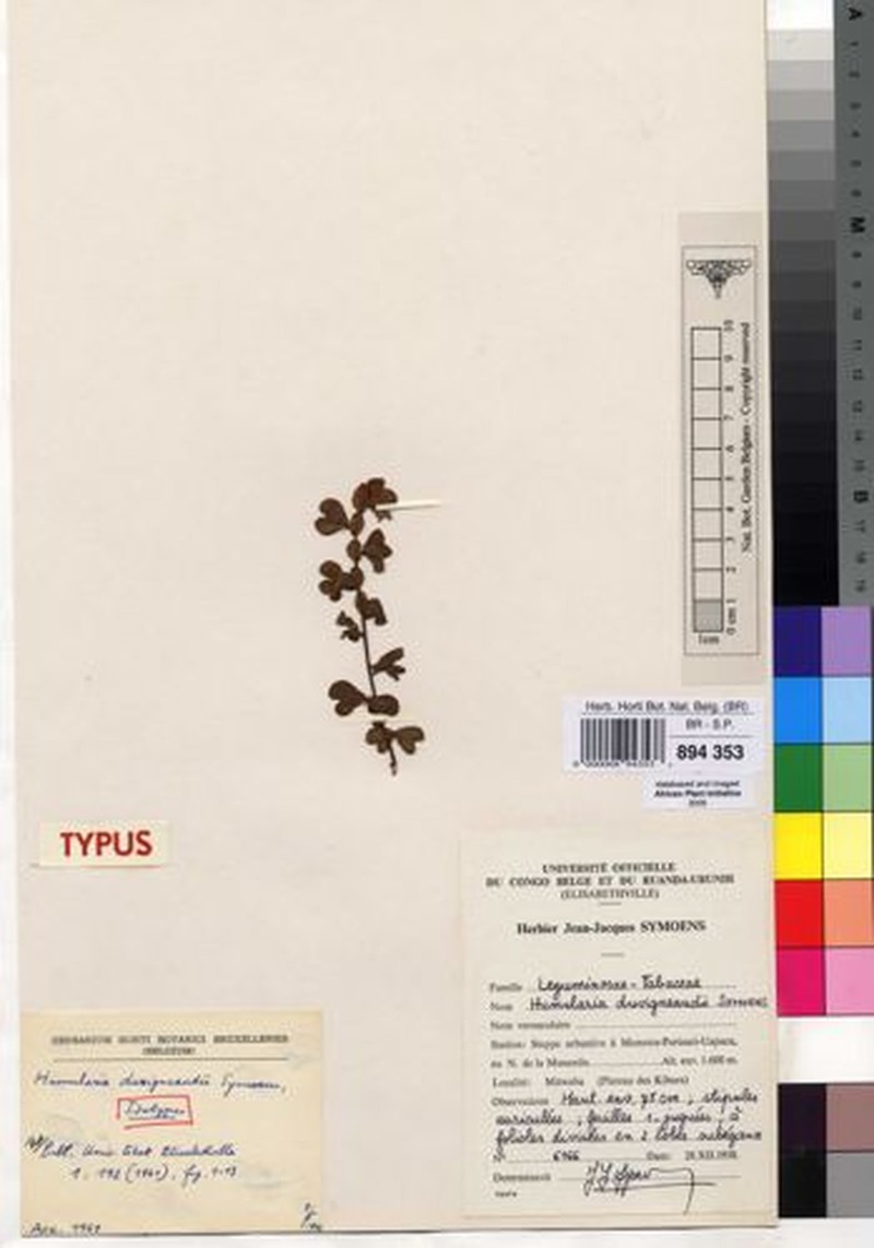 Humularia duvigneaudii