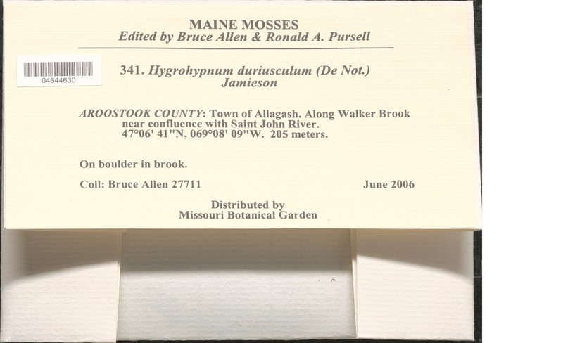Hygrohypnum Moss photo 6
