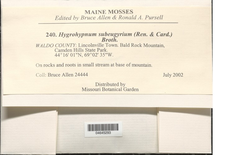 Hygrohypnum Moss photo 3