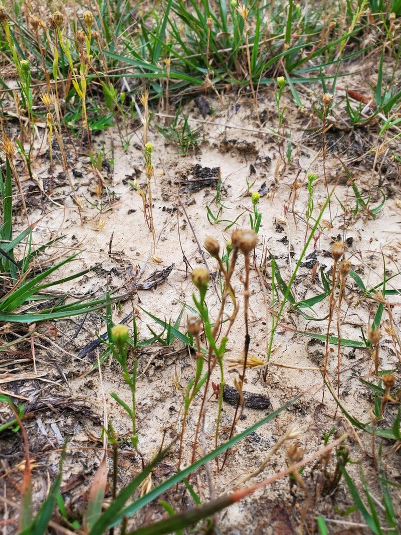 Prairiedawn photo 5