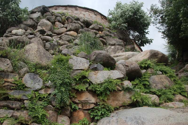 Hypodematium daochengense