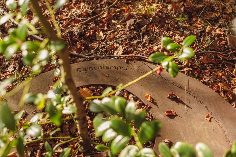 American Holly photo 2