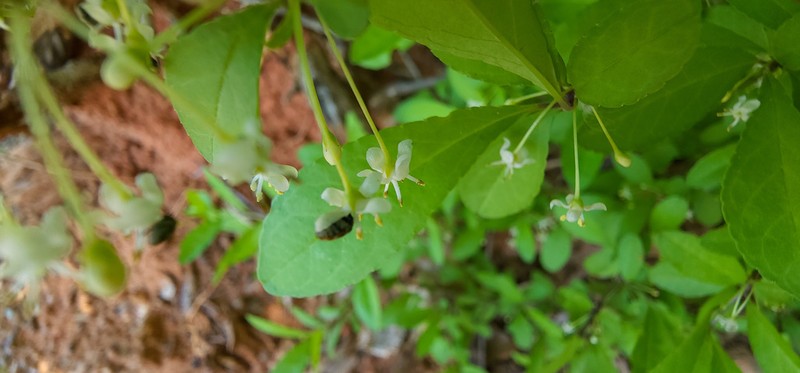 Georgia Holly photo 4