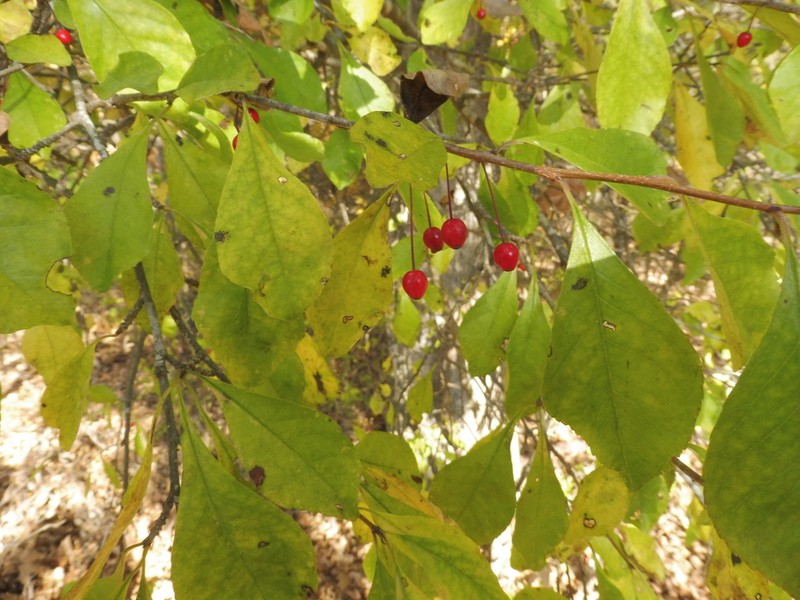 Georgia Holly photo 5