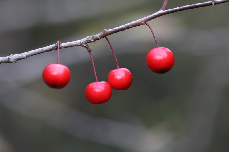 Georgia Holly photo 8
