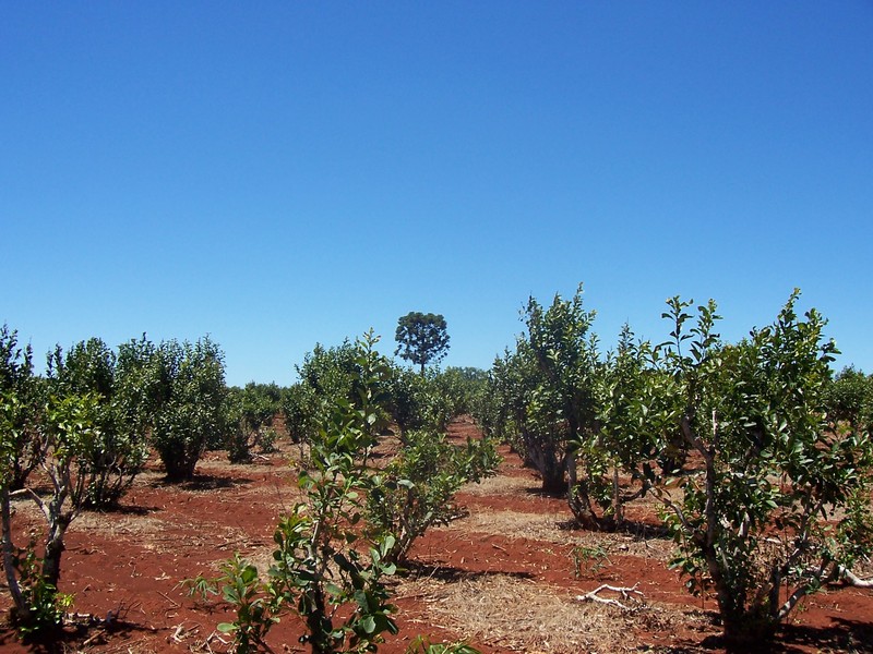 Mate photo 6