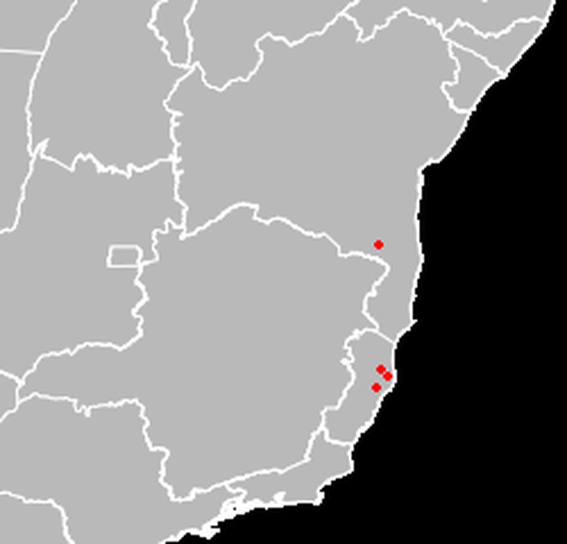 Inga hispida