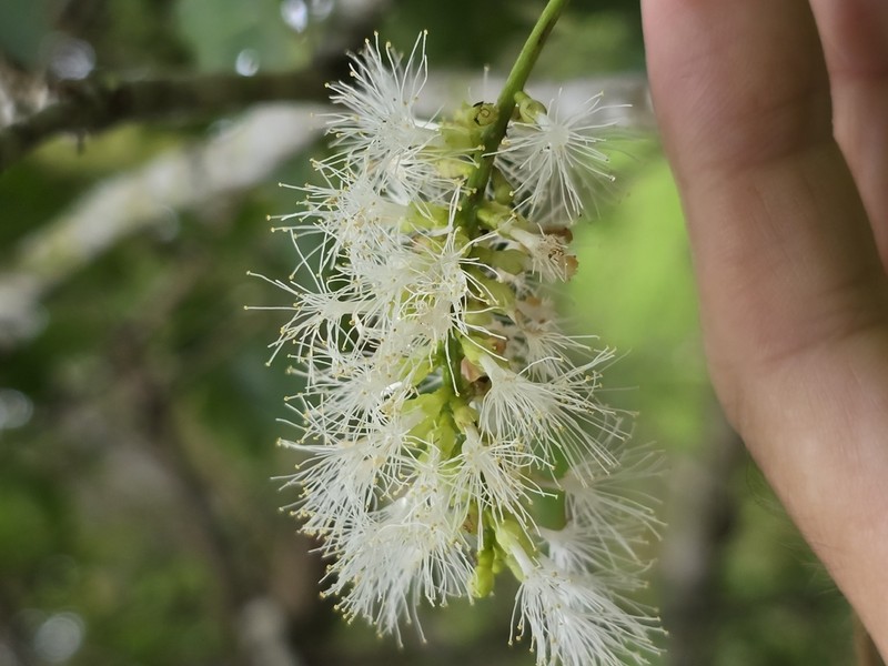 Sacky Sac Bean photo 7