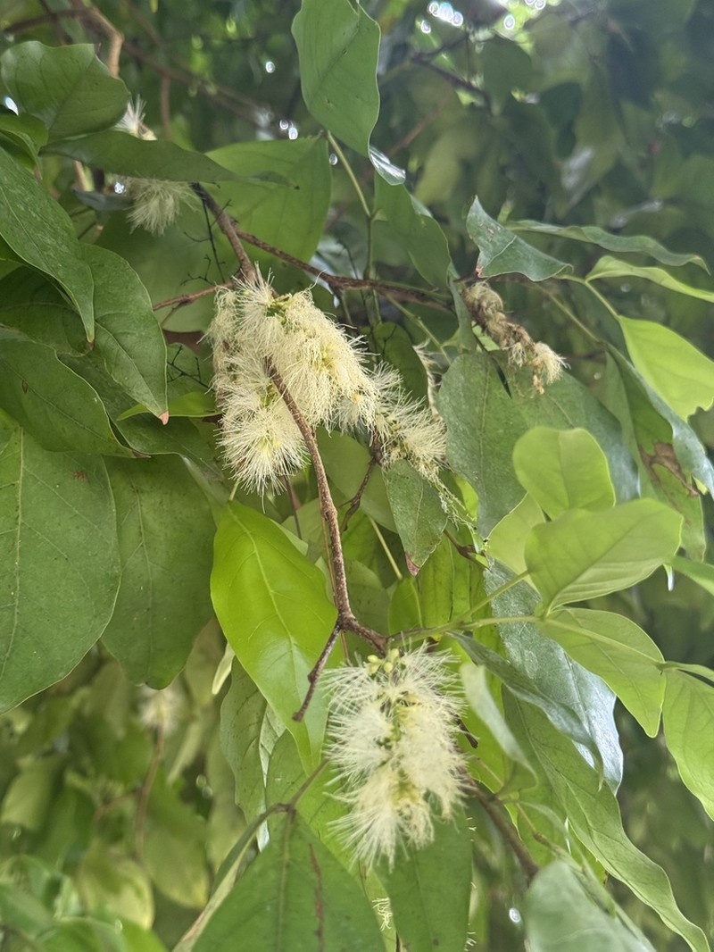 Sacky Sac Bean photo 8