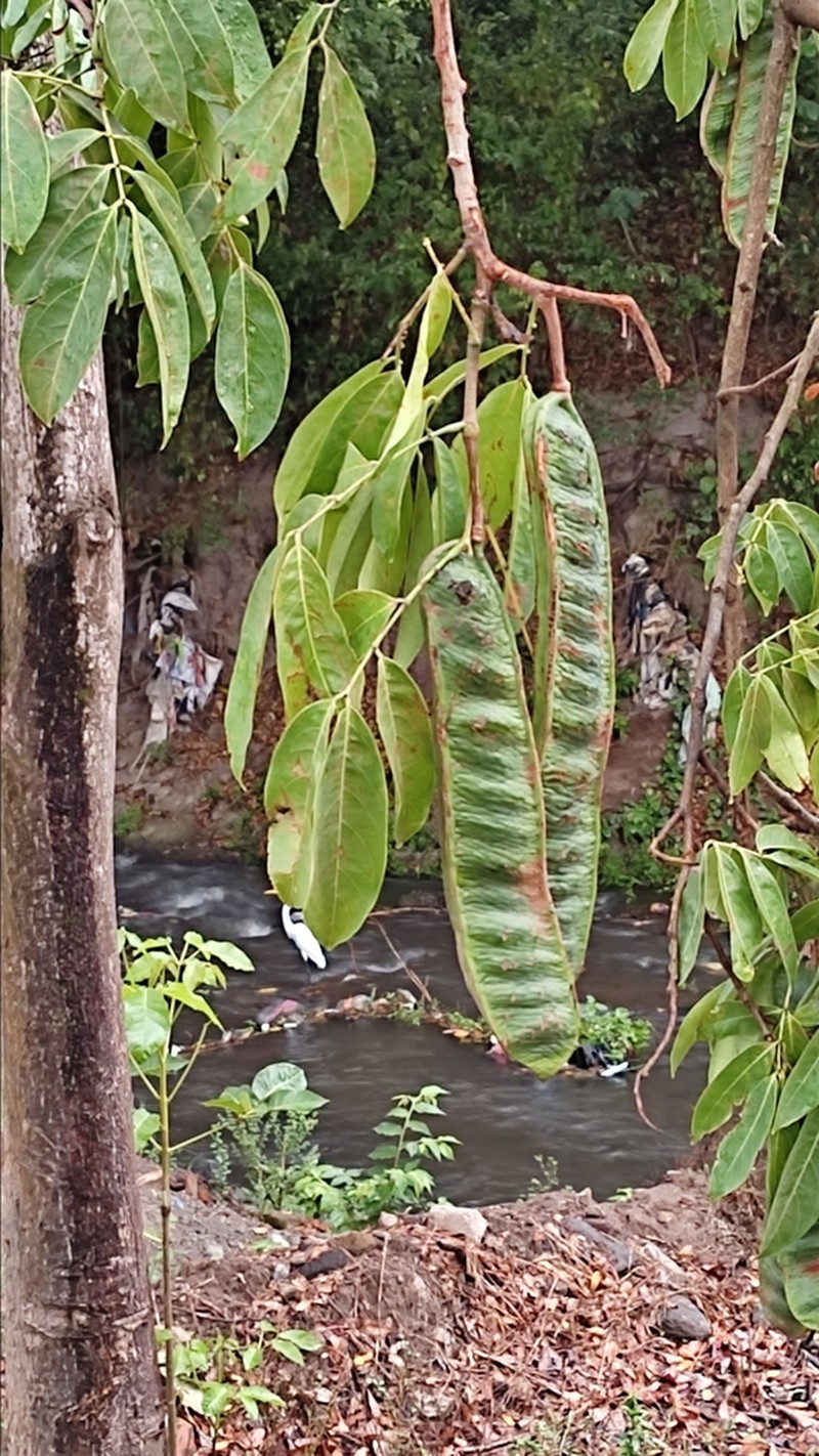 Inga paterno photo 4
