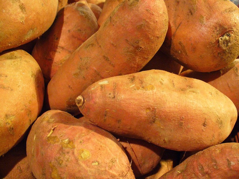 Sweetpotato