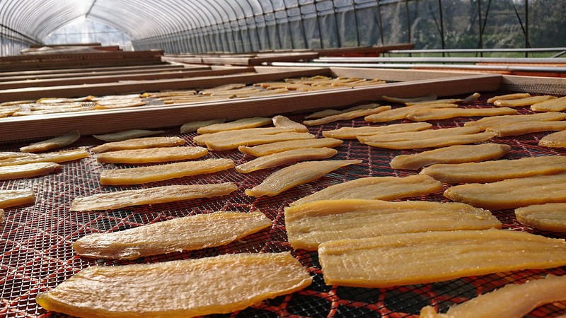 Sweetpotato photo 7