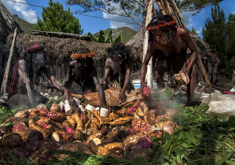 Bejuco De Puerco photo 5