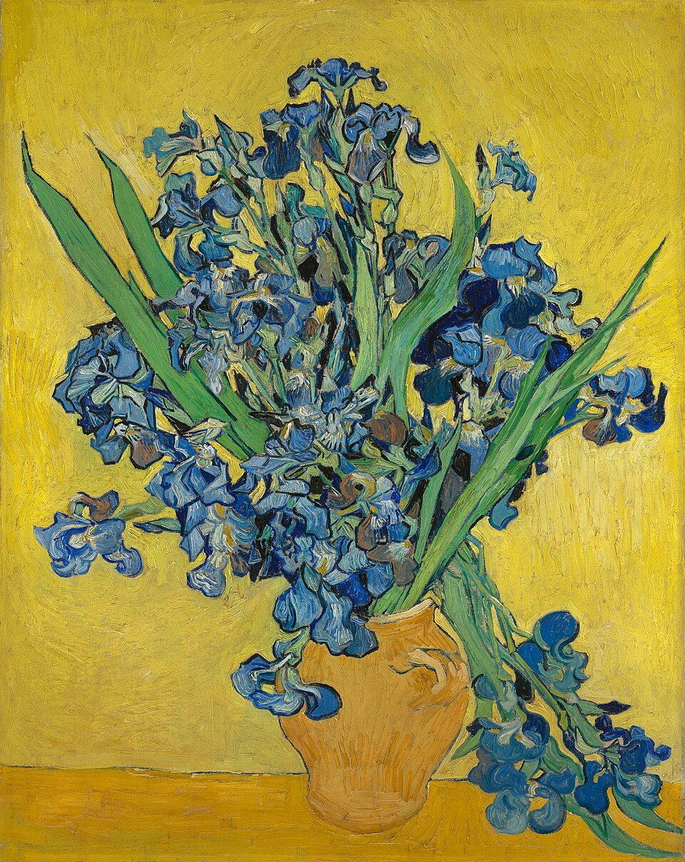 German Iris photo 8