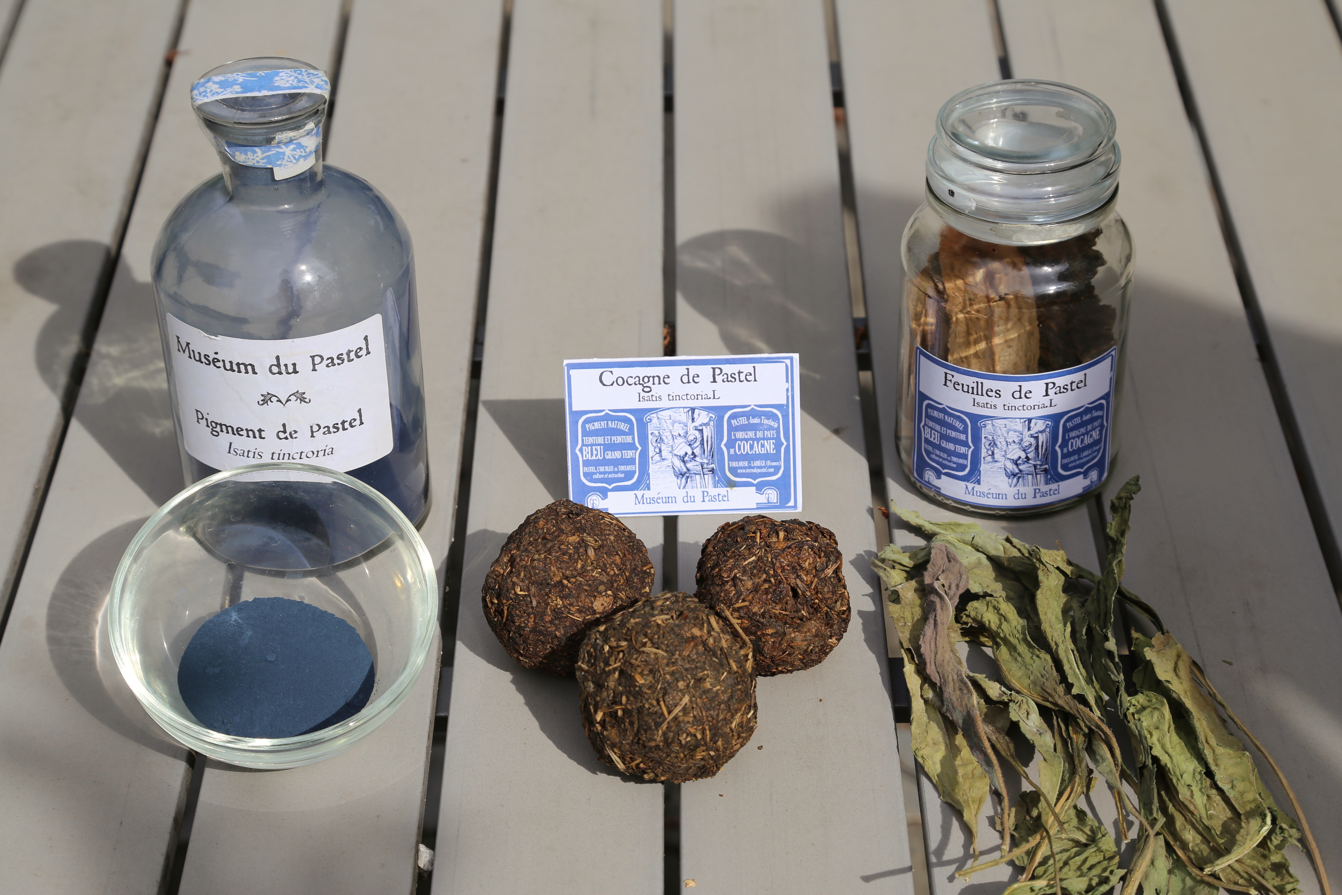 Dyer's Woad photo 6