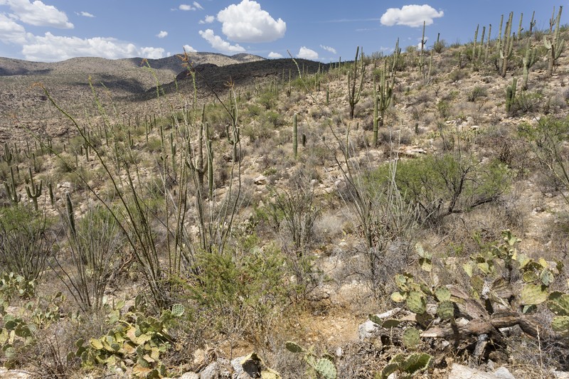 Sangre De Cristo photo 3