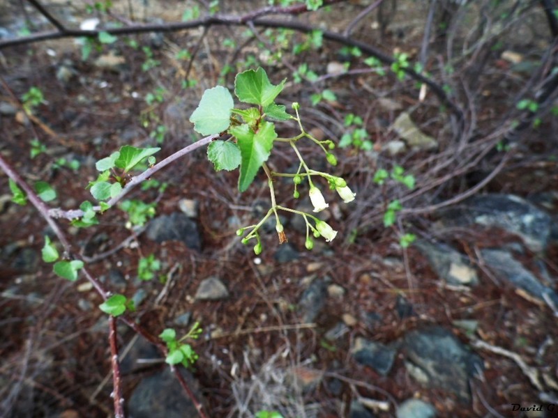 Sangre De Cristo photo 6