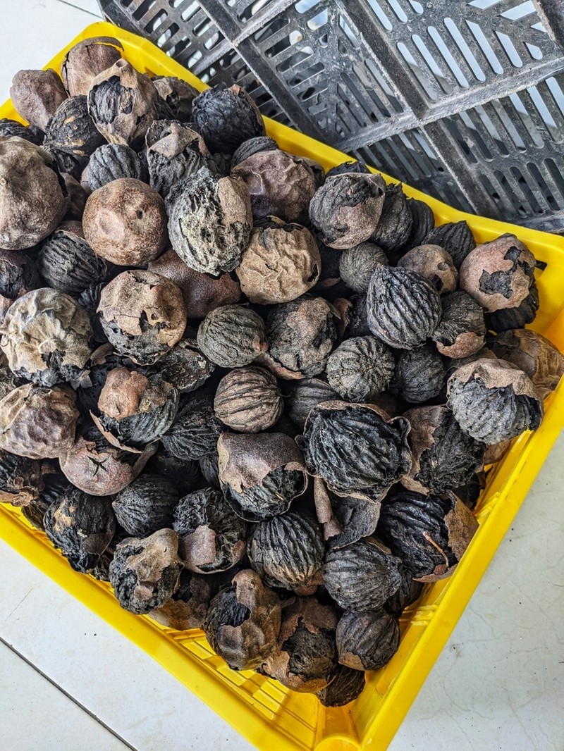 Andean Walnut photo 5