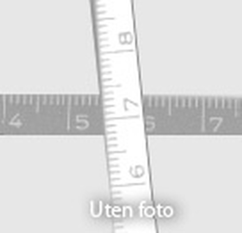 Juncus alpinoarticulatus subsp. americanus photo 4