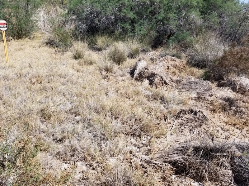 Cooper's Rush photo 2