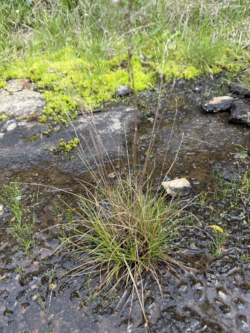 Georgia Rush photo 4