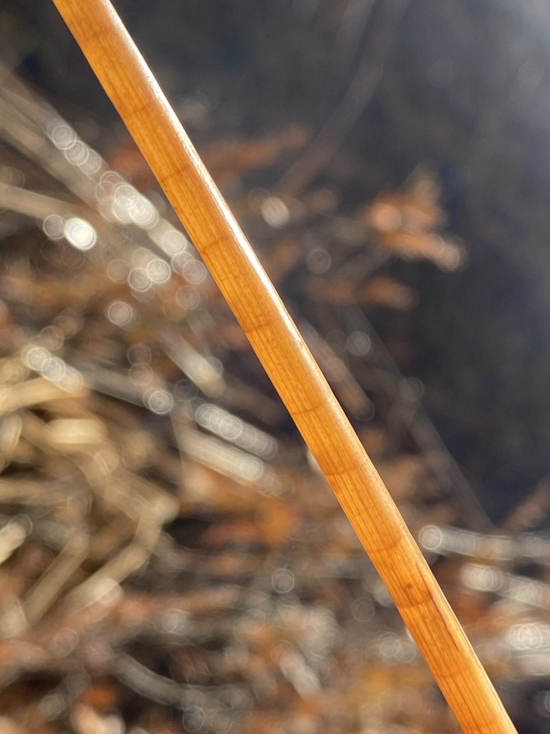 Bayonet Rush photo 7