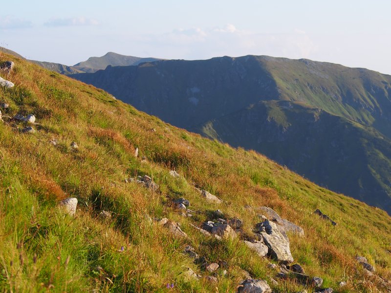 Highland Rush photo 6