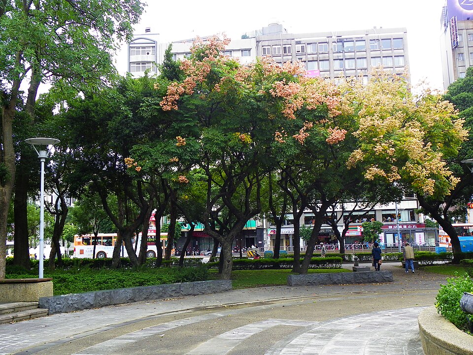 Flamegold photo 7