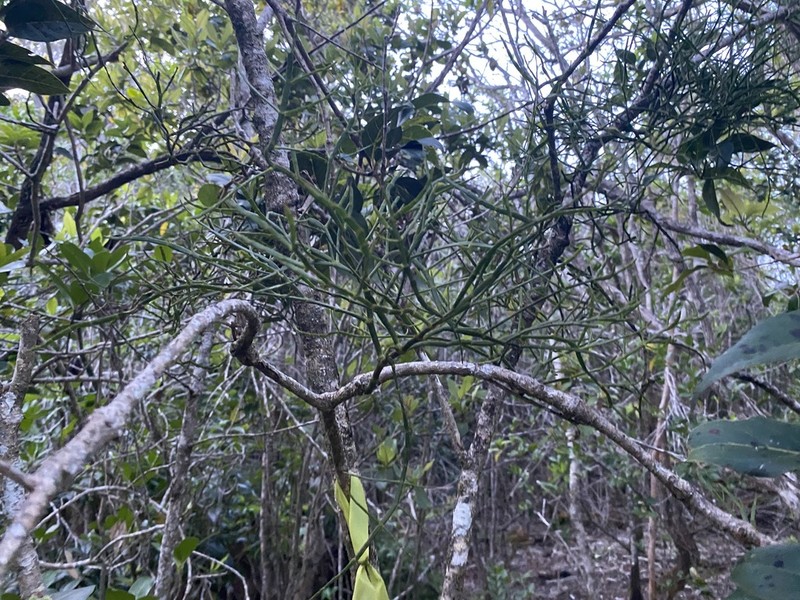 Po'Owaha photo 7