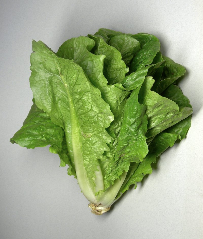 Garden Lettuce photo 2