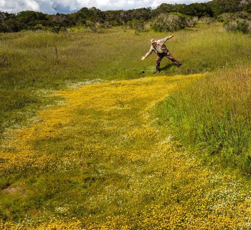 Contra Costa Goldfields photo 4