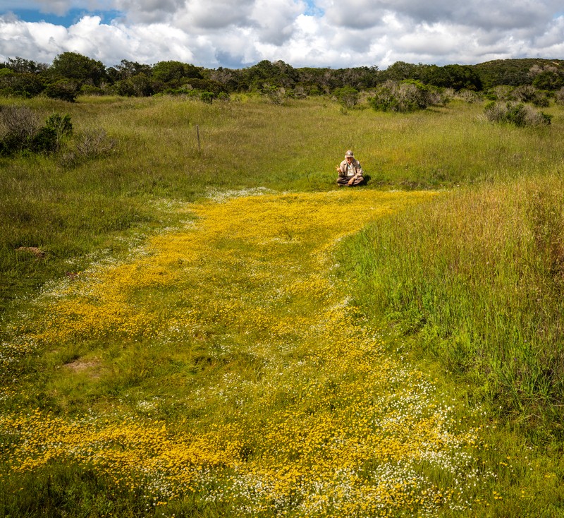 Contra Costa Goldfields photo 5