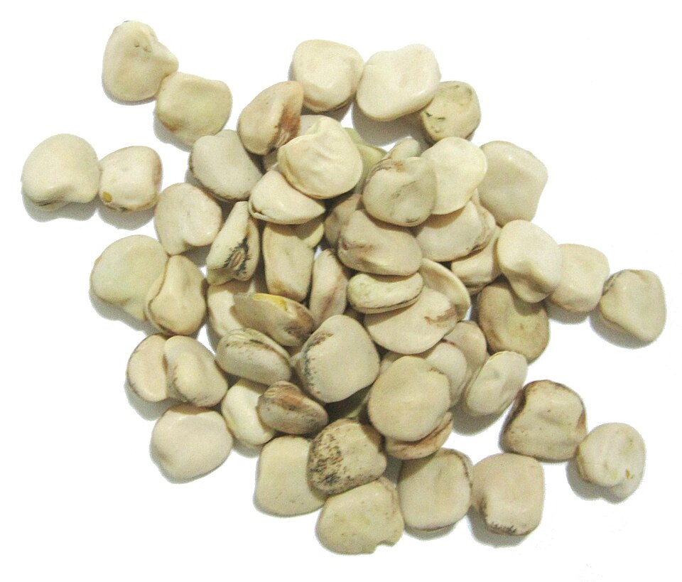 White Pea photo 7