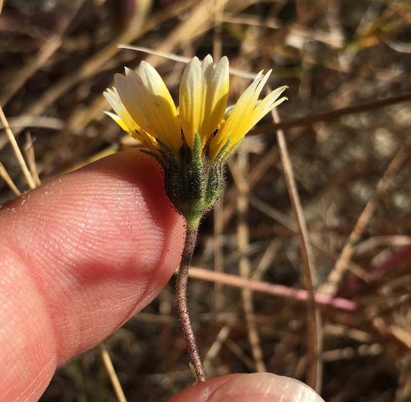 Jones' Tidytips photo 6