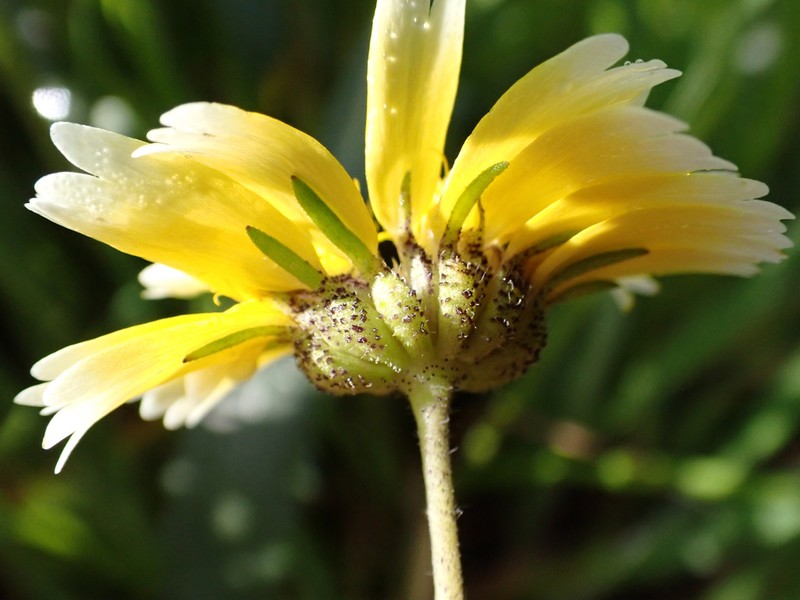 Jones' Tidytips photo 8