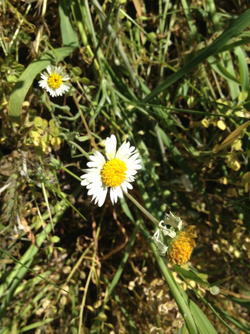 Comanche Point Tidytips photo 3