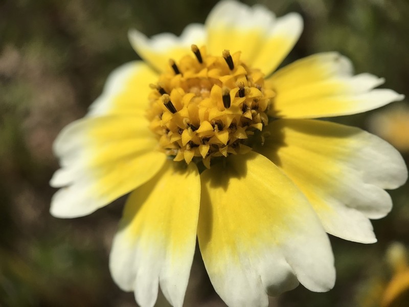 Munz's Tidytips photo 2