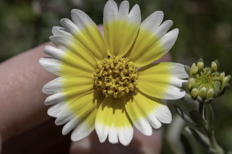 Munz's Tidytips photo 3
