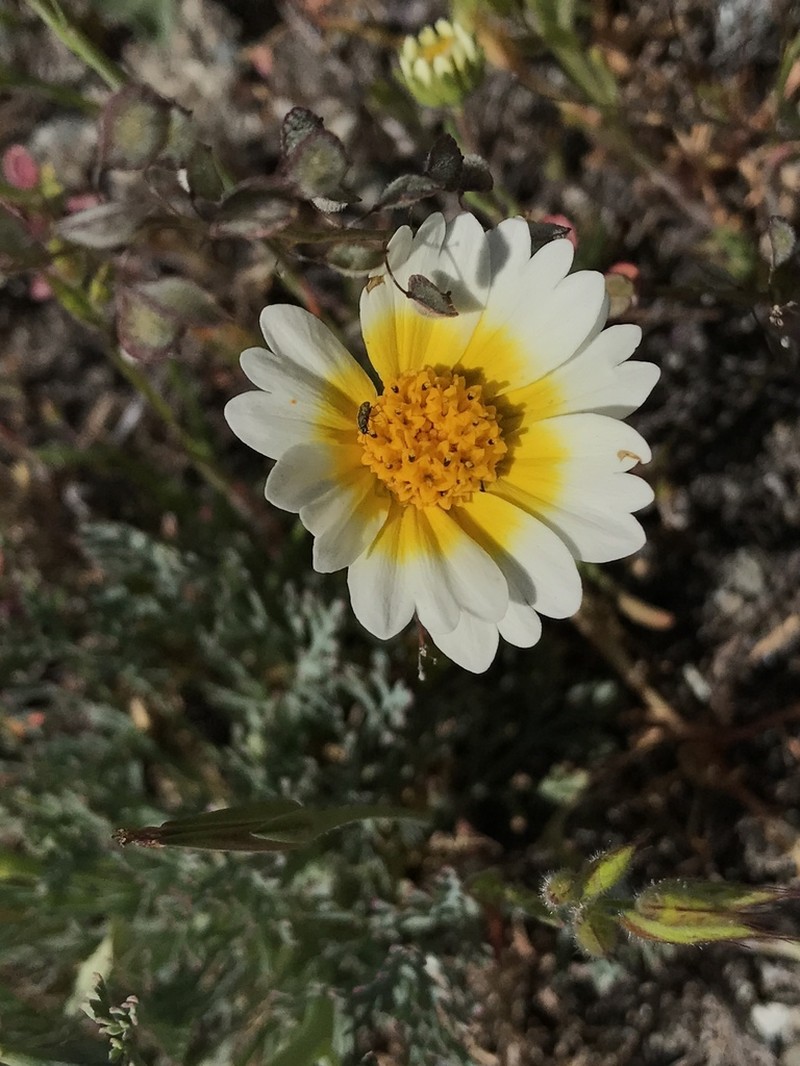 Munz's Tidytips photo 4