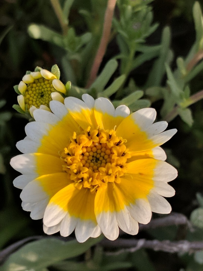 Munz's Tidytips photo 5