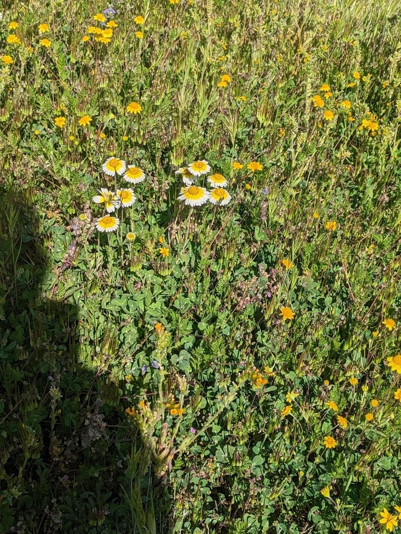 Munz's Tidytips photo 6