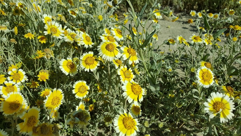 Munz's Tidytips photo 7