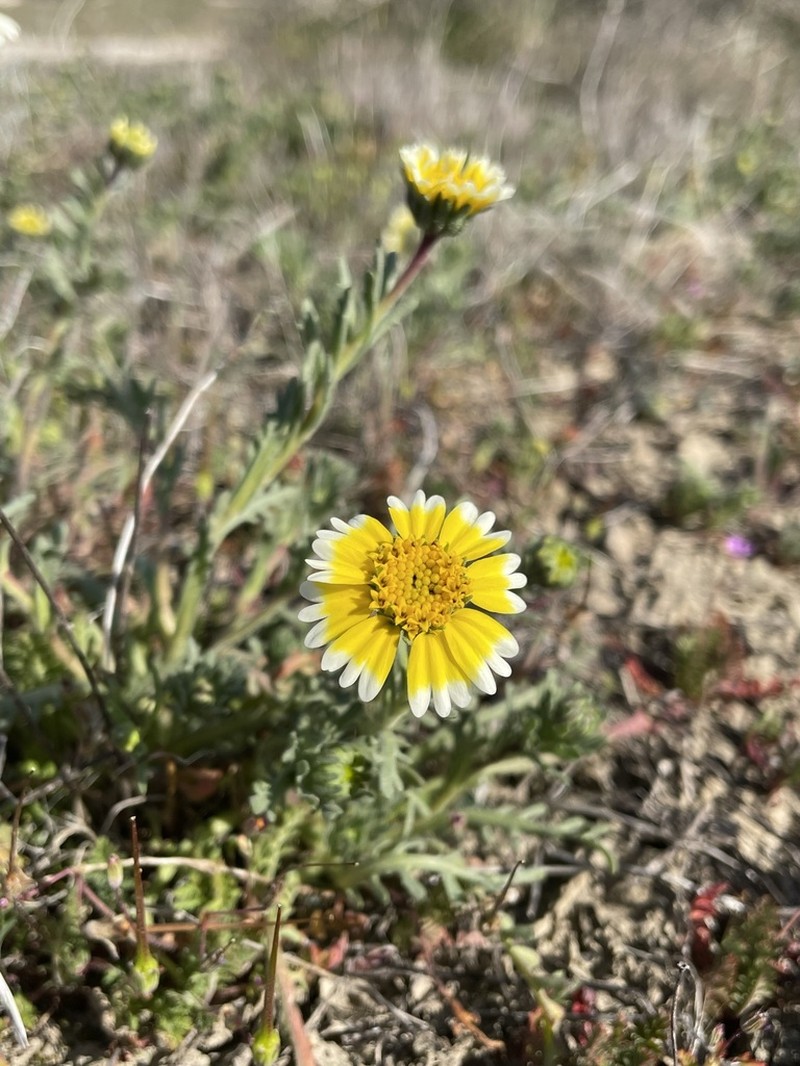 Munz's Tidytips photo 8
