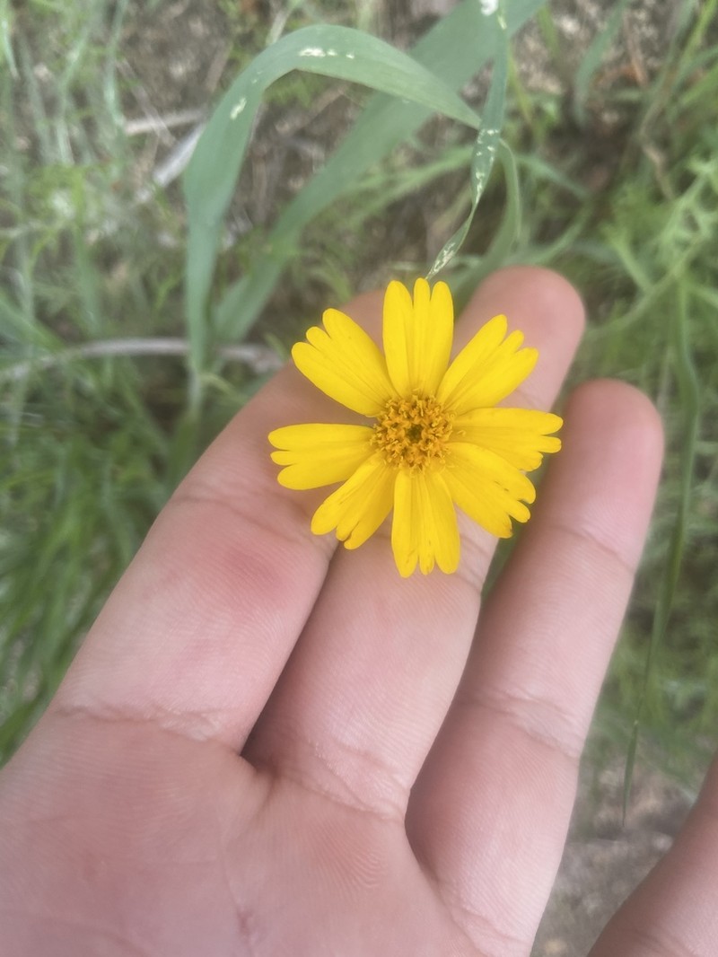 Sierra Tidytips photo 8