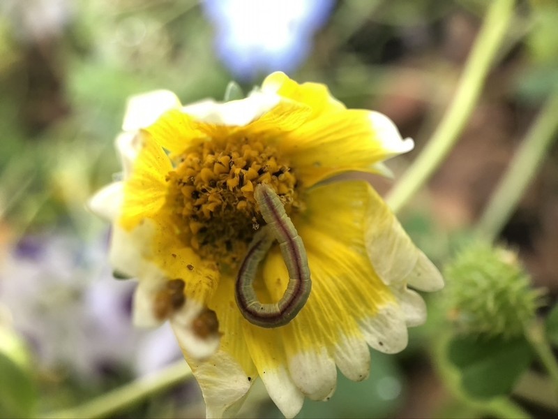 Coastal Tidytips photo 2