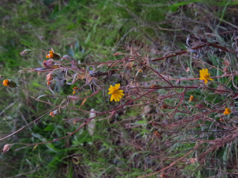 Colusa Tidytips photo 3